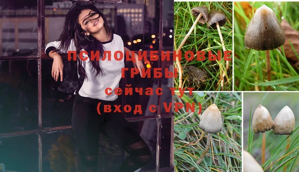 первитин Богданович