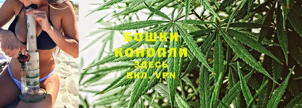 первитин Богданович