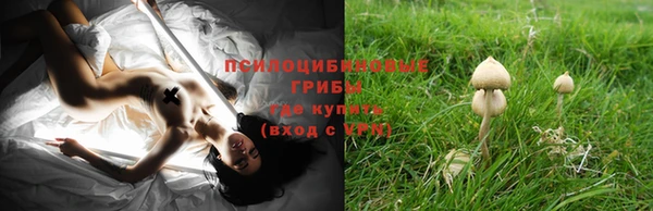 первитин Богданович