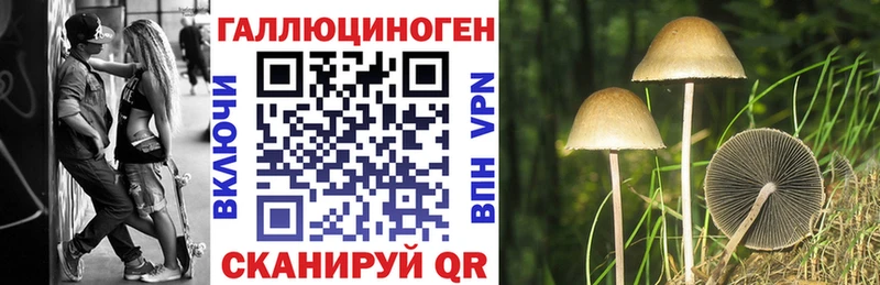 Галлюциногенные грибы Psilocybe  Среднеуральск 