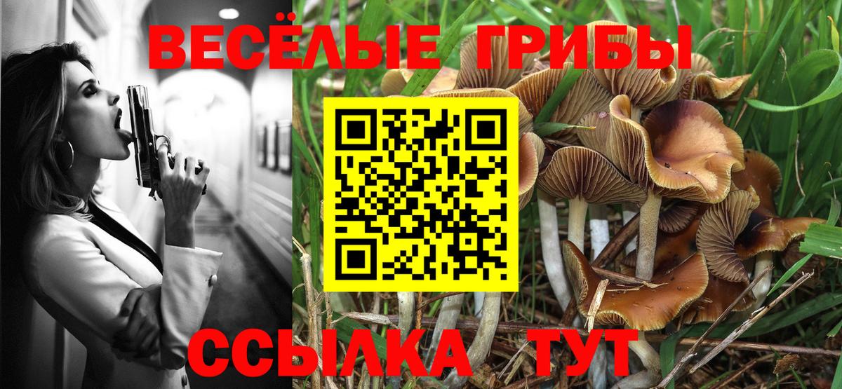 Среднеуральск  Галлюциногенные грибы ЛСД  Вход с VPN 